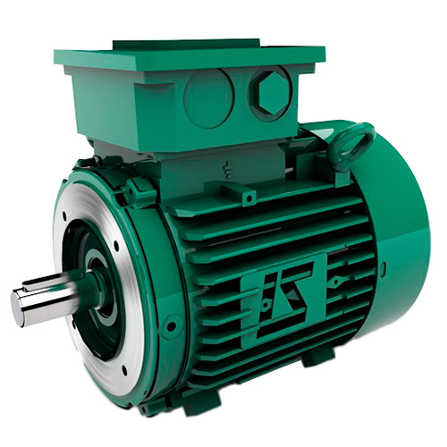 LEROY_SOMER Leroy Somer FLSES 132M6 — Electric Motors